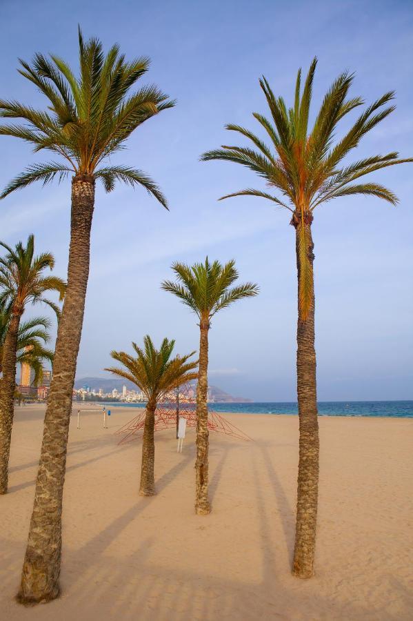 Ibis Budget Alicante Pension Sin Comedor Exteriér fotografie